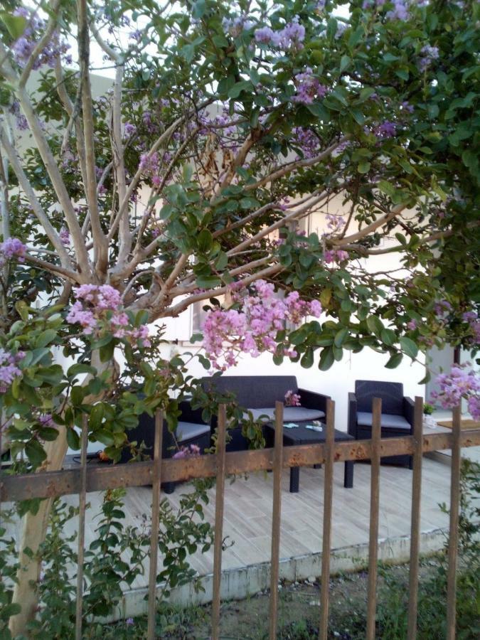 The Judas Trees Местре Экстерьер фото