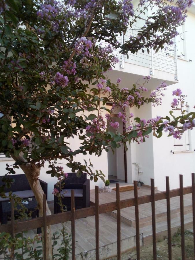 The Judas Trees Местре Экстерьер фото